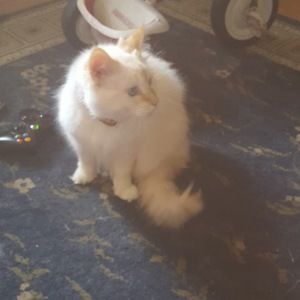 Meet your Posher, Richard